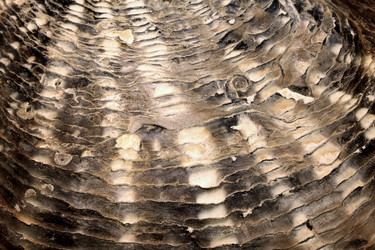 Similar image 7948050