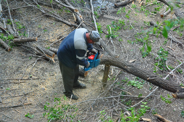 Similar image 7948269