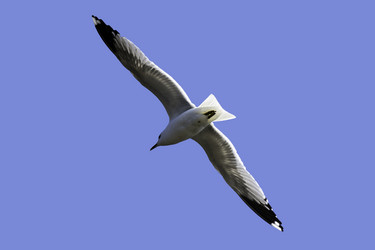 Similar image 7948527