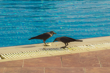 Similar image 7948728