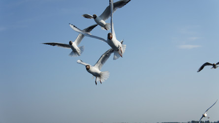 Similar image 7948729