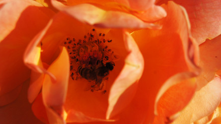 Similar image 7948731