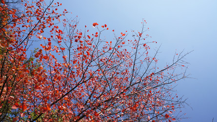 Similar image 7948732