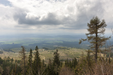 Similar image 7948817