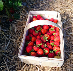 Similar image 7948897