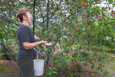 Similar image 7948914