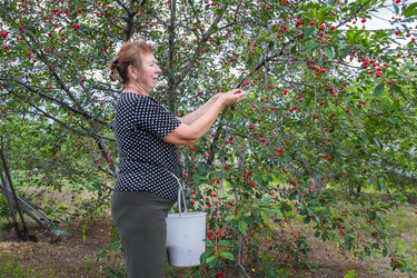 Similar image 7948915