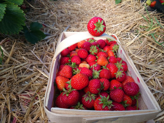 Similar image 7948921