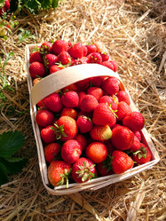 Similar image 7948923