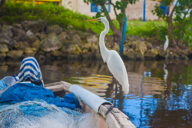 Similar image 7948943