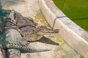 Similar image 7948944