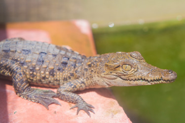 Similar image 7948945