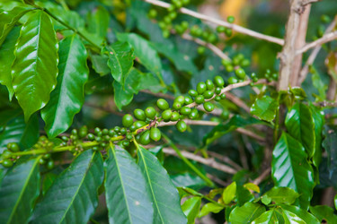 Similar image 7948948