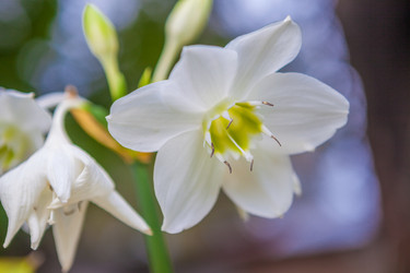 Similar image 7948949