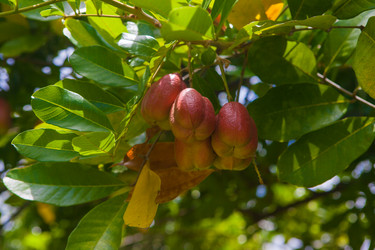 Similar image 7948950