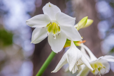 Similar image 7948953