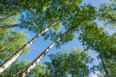 Similar image 7948975