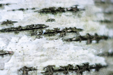 Similar image 7948983