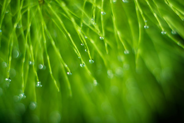 Similar image 7948989