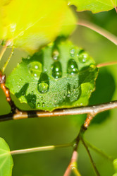 Similar image 7948990