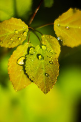 Similar image 7948991