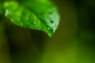 Similar image 7948992