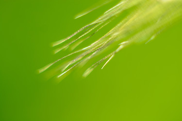 Similar image 7948996