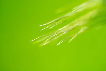 Similar image 7948997