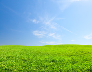 Similar image 7949010