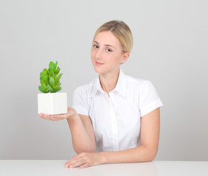 Similar image 7949076