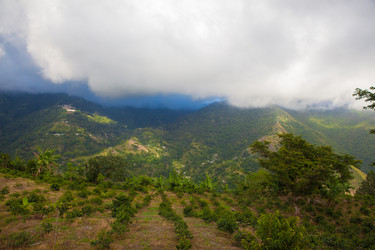 Similar image 7949119