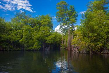 Similar image 7949121