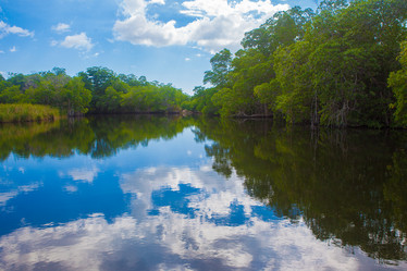 Similar image 7949124