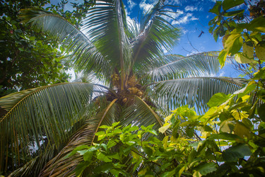 Similar image 7949125