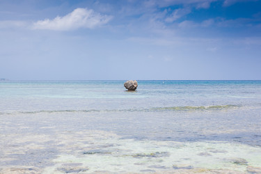 Similar image 7949139