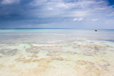 Similar image 7949140