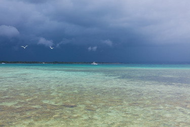 Similar image 7949141