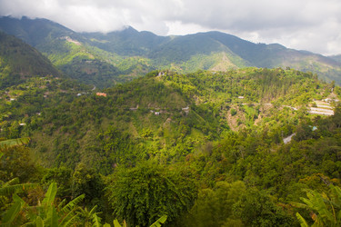 Similar image 7949142