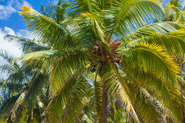 Similar image 7949143