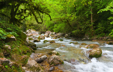 Similar image 7949247