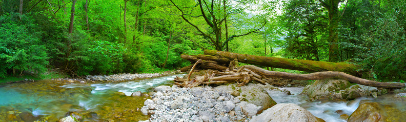 Similar image 7949257