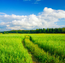 Similar image 7949263