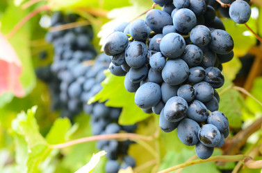 Similar image 7949315