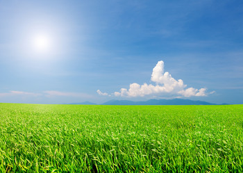 Similar image 7949323