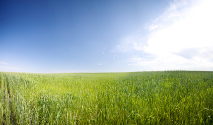 Similar image 7949348