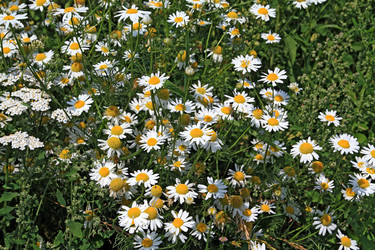 Similar image 7949352