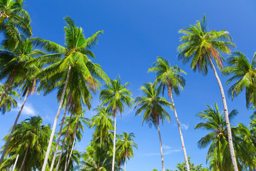 Similar image 7949370