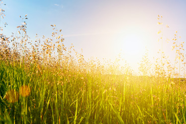 Similar image 7949378