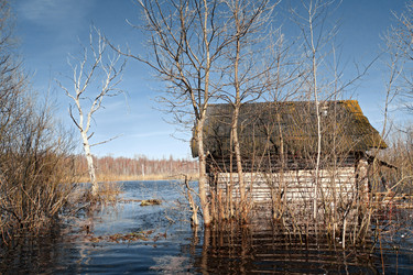 Similar image 7949405