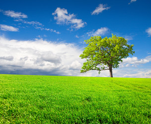 Similar image 7949410